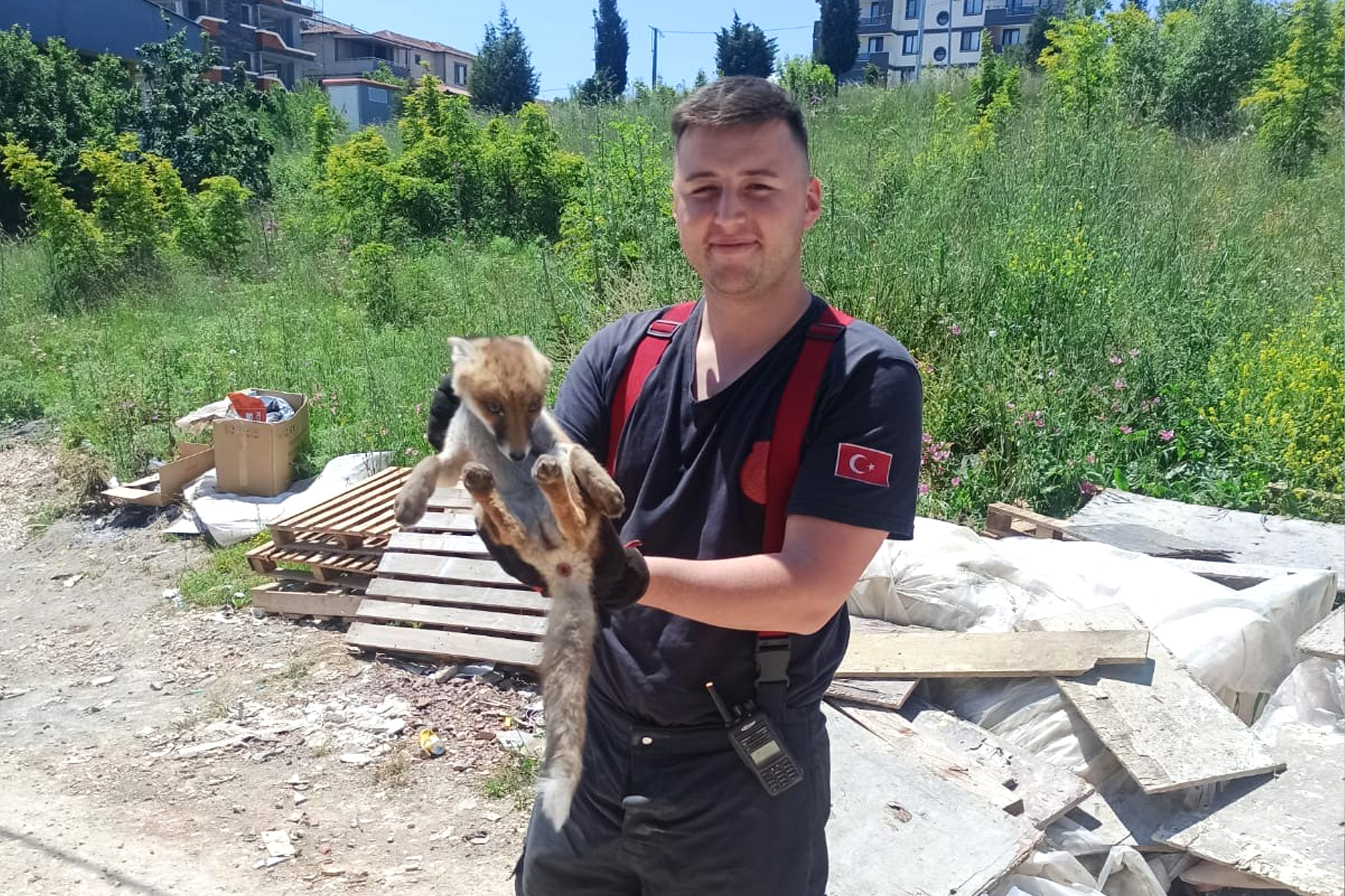 Çiftlikköy İtfaiyesinden Tilki Operasyonu