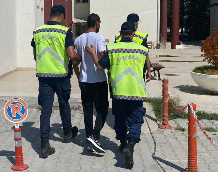 181 Kök Kenevir Yakalandı