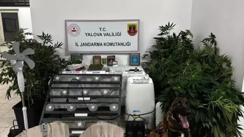 Evini Kenevir Serasına Çeviren Zanlı Tutuklandı