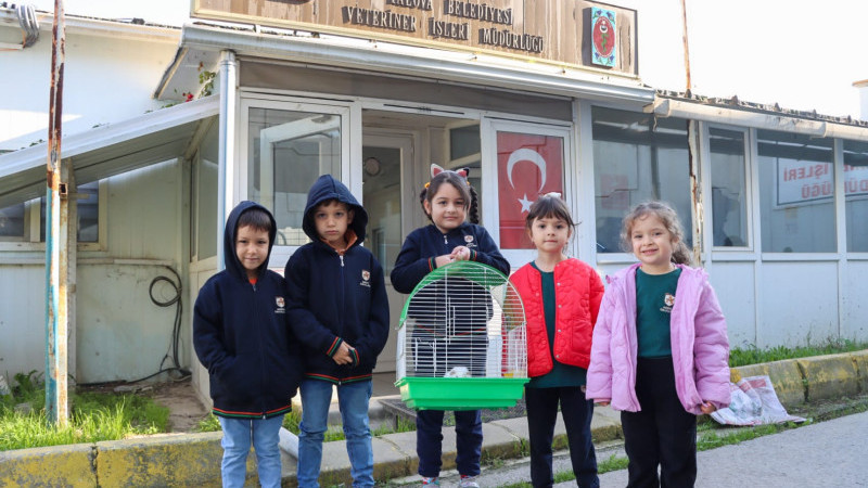 Gineping Kısa Sürede Sahiplendirildi