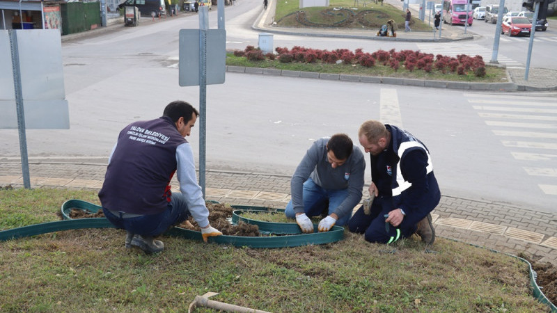 Tonami Meydanı'nda Dekoratif Peyzaj Çalışması